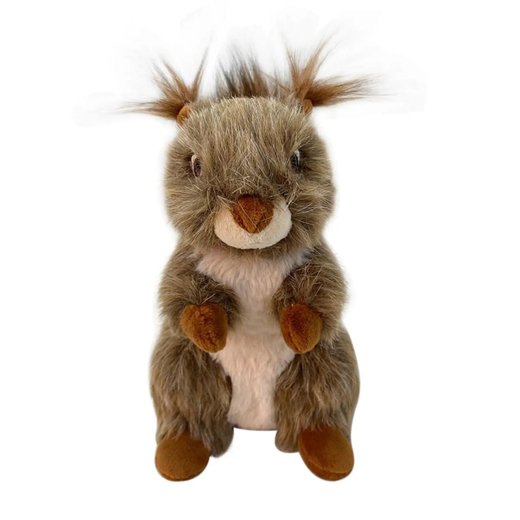 Jouet de chien Squeaky Jouet de chien Jouet de chien de biscuit Jouet de chien en peluche Jouet interactif de mèche pour