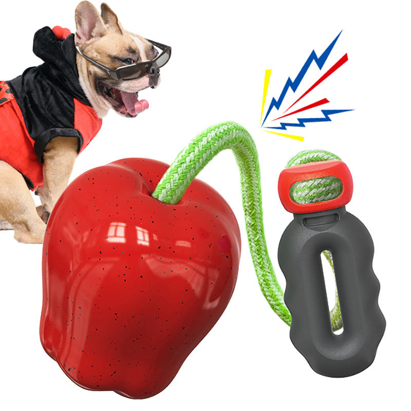 Nourriture pour animaux Jouet d'extérieur pour chiens à boules