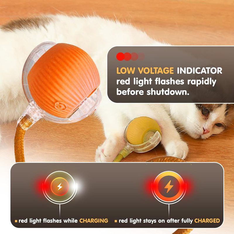 Chat Interactive Ball Toys Automatic Rolling Ball pour Kitten Smart Pet Electri rechargeable