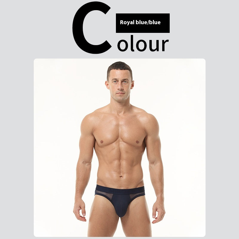Sexy hommes slips hauts élastique Mesh bas taille culottes