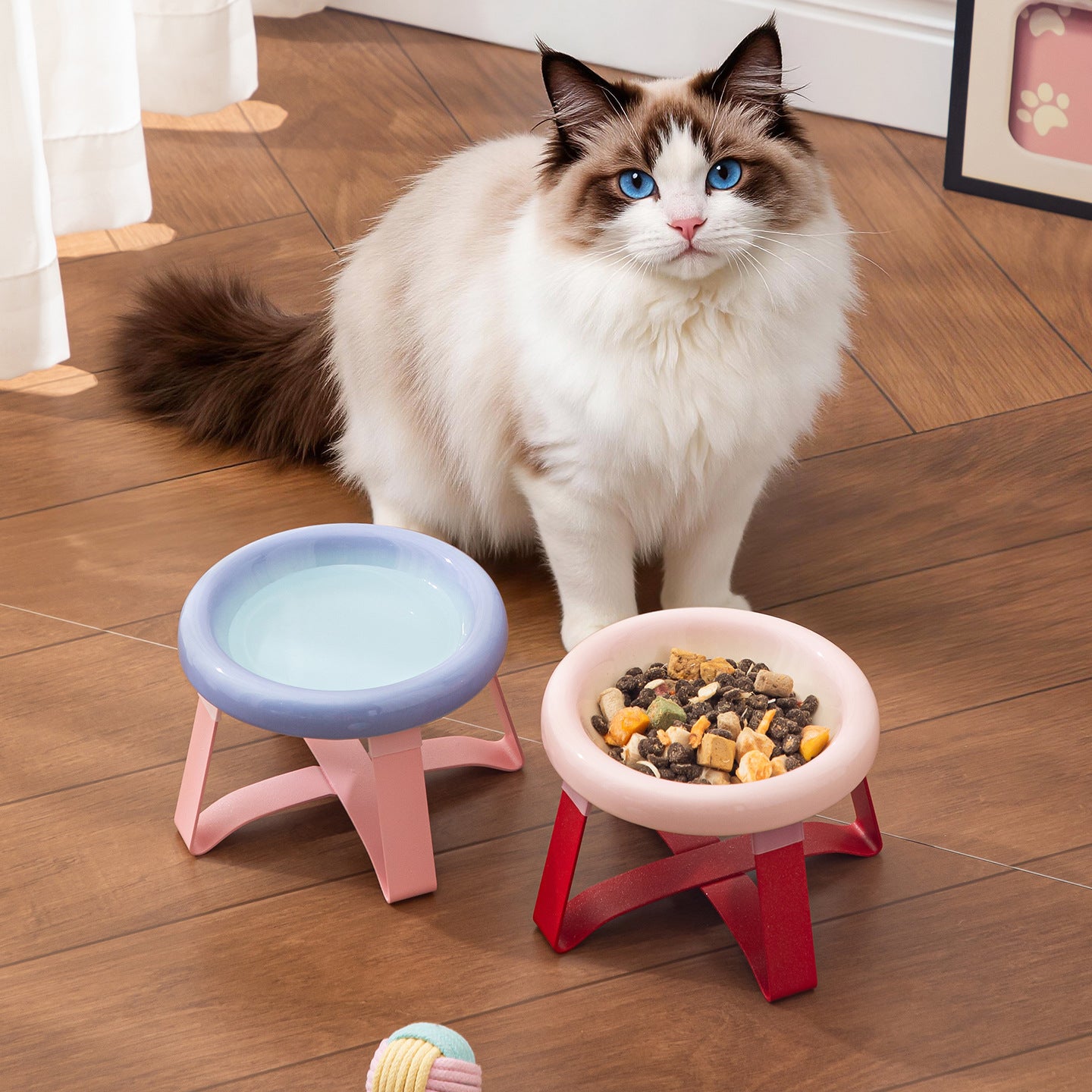 Ceramic Pet Bowl de couleur brune