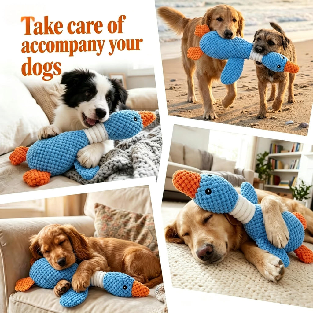 Jouets de chien de canard pour les brochettes agressives - Fun Crinkle Squeaky Plush Jouets de chien de chien le meilleur canard P