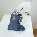 Vêtements pour chiens Ours mignons