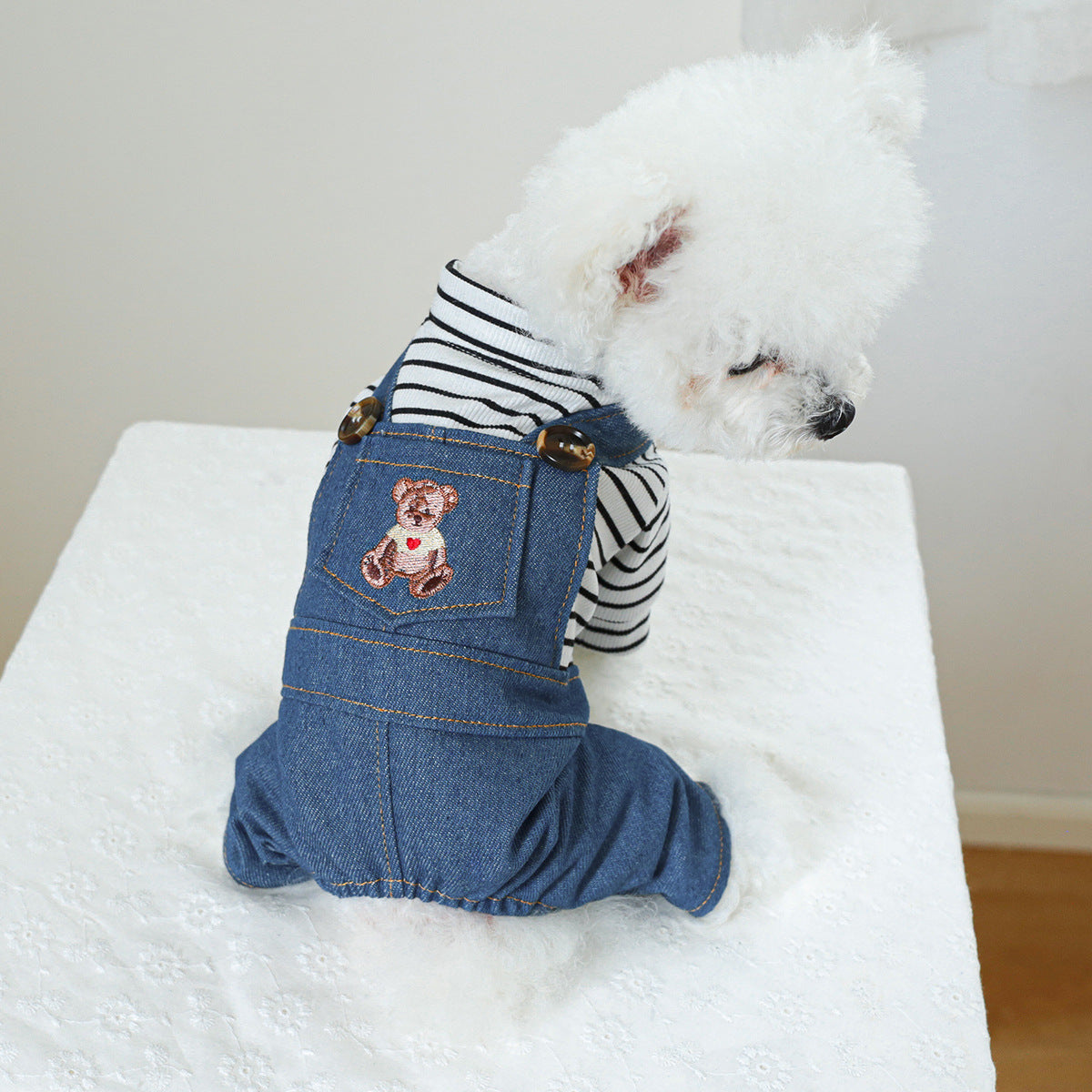 Vêtements pour chiens Ours mignons