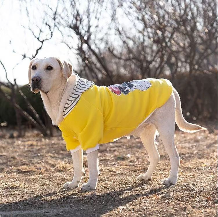 Vêtements de chien Chemise de chien moyenne et grande