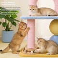 Arbre de chat, Lit de chat, Cadre de craquage, Poteau de craquage de chat, Cadre de chat, Cat T