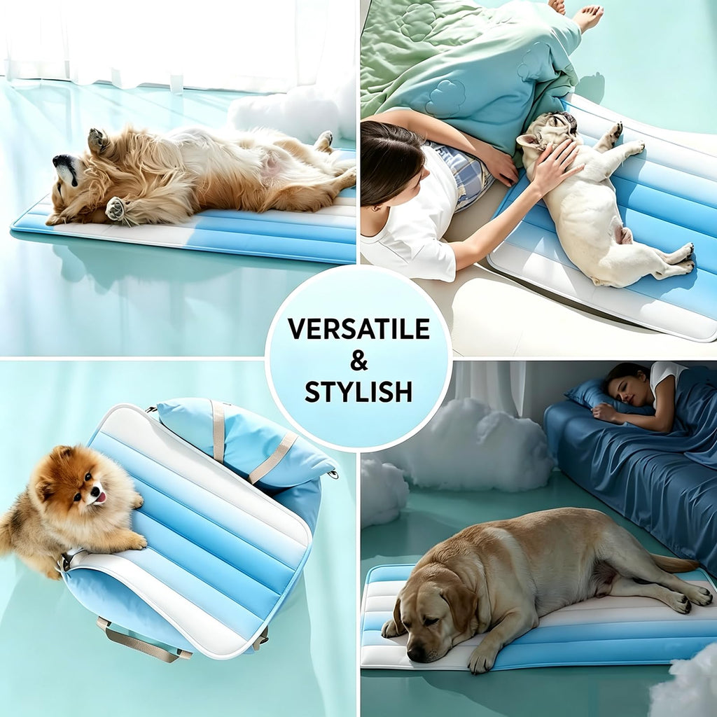 Tapis de refroidissement pour chiens