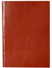 Carnet de notes Papeterie en cuir