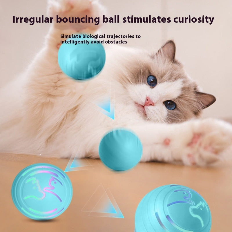 Les chiens de balle et les chats intelligents de vibration ne peuvent pas piquer la balle