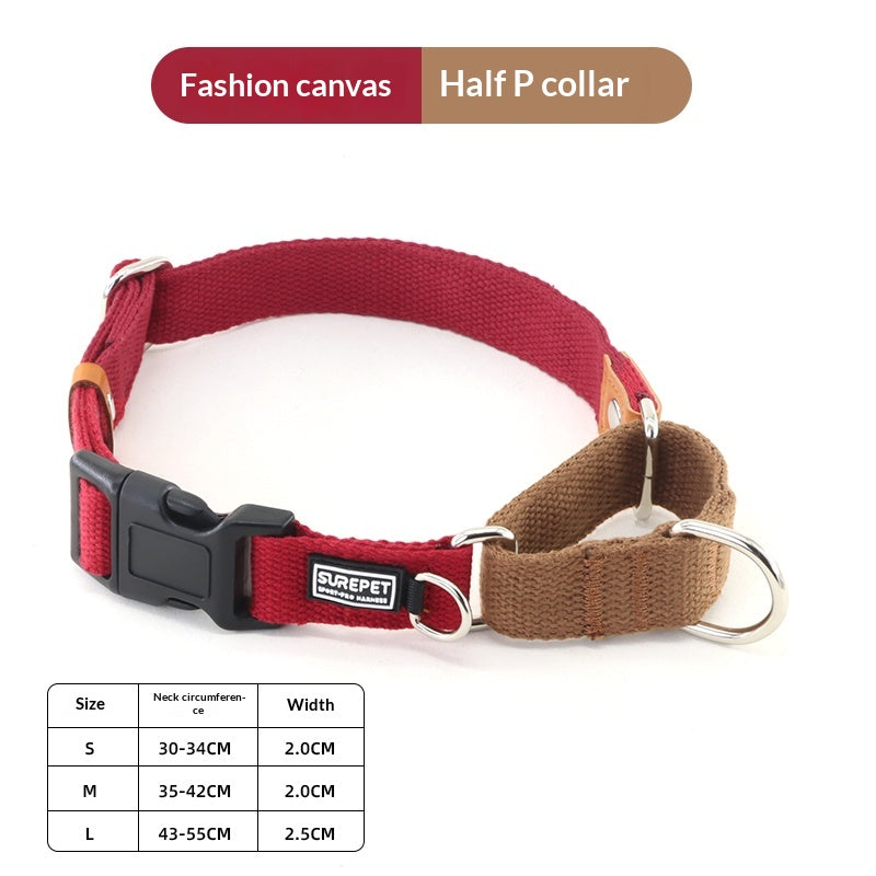 Collier de chien avec étiquette d'identification pour empêcher votre chien de se perdre