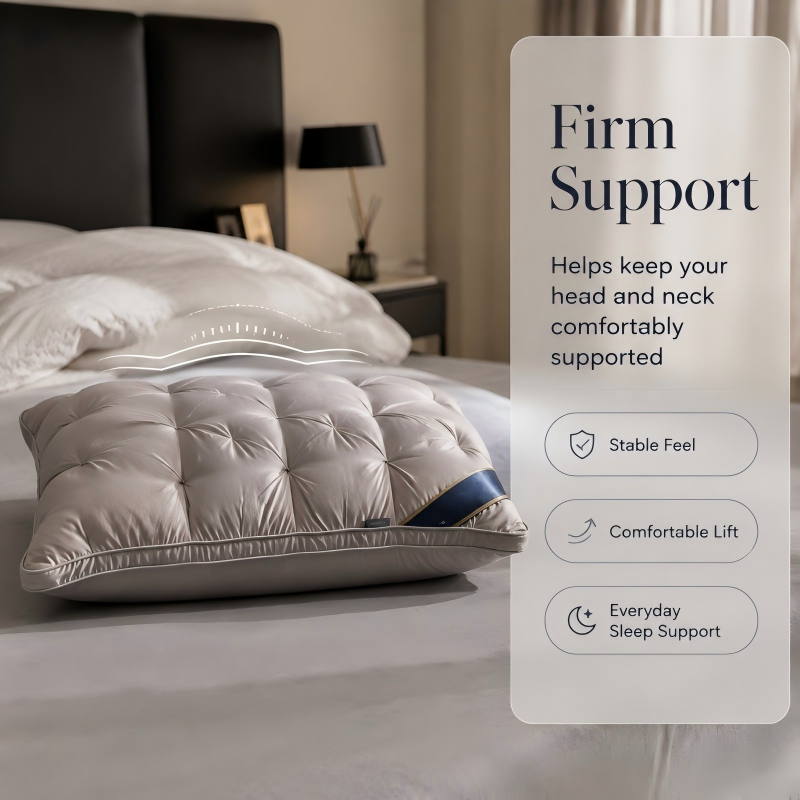 2Pcs Soutien de l'entreprise Oreiller matelassé extra rempli Hôtel Paire d'oreillers de qualité