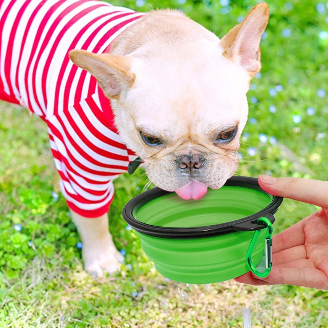 Bols collapsibles pour chien