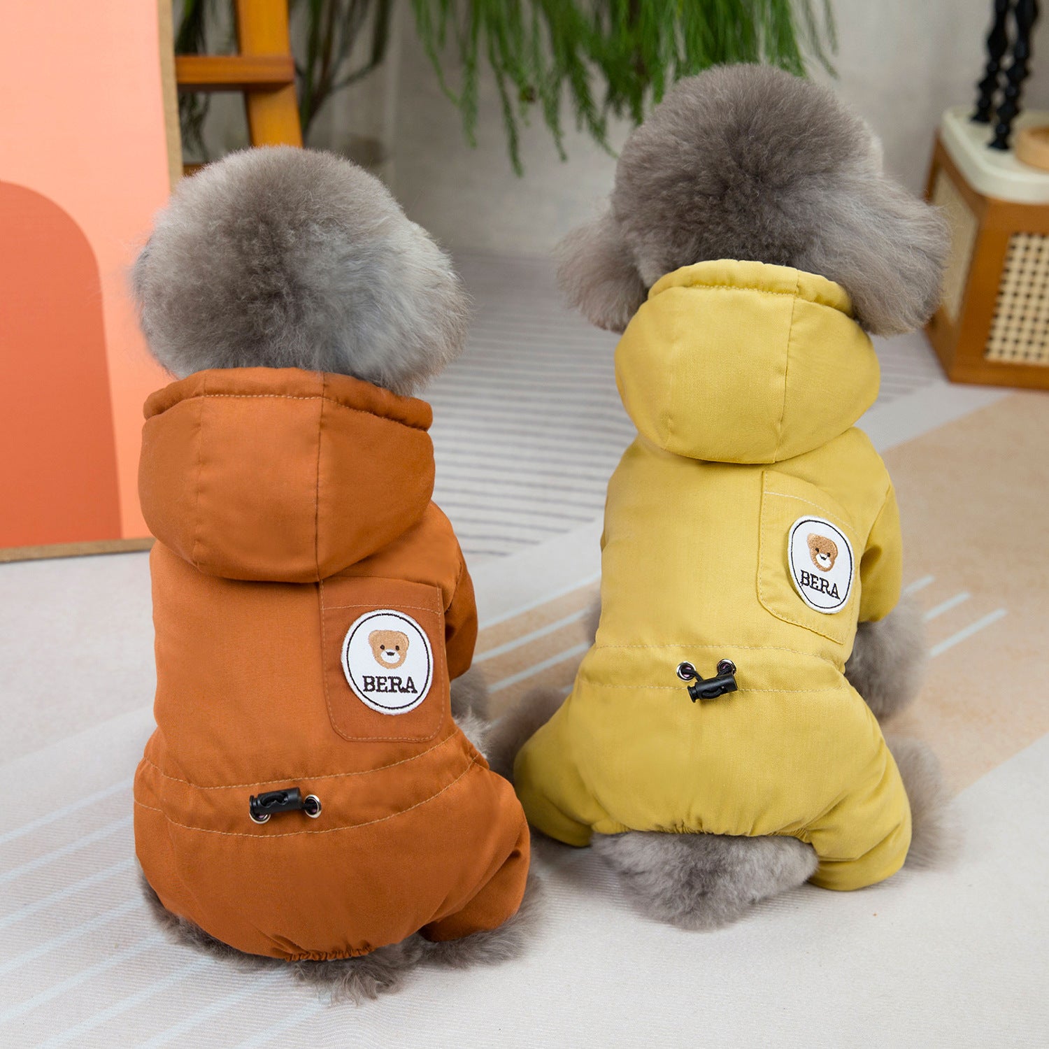 Mode chien Automne et vêtements d'hiver