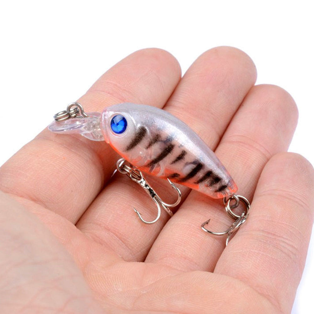 Mini Combo de roche grasse Lure
