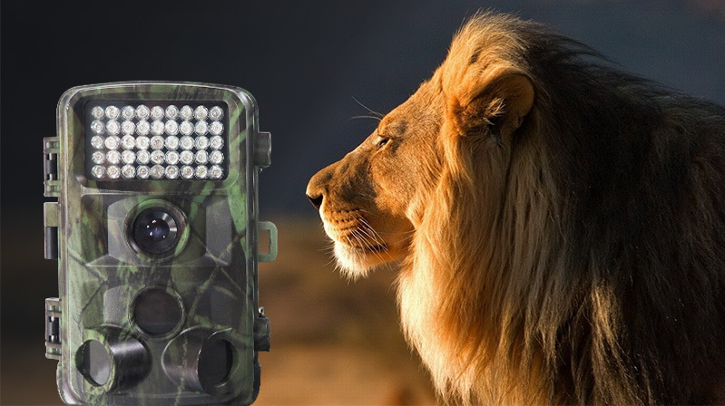 Caméra de chasse sauvage