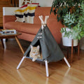 Cadre de lit de tente de chat