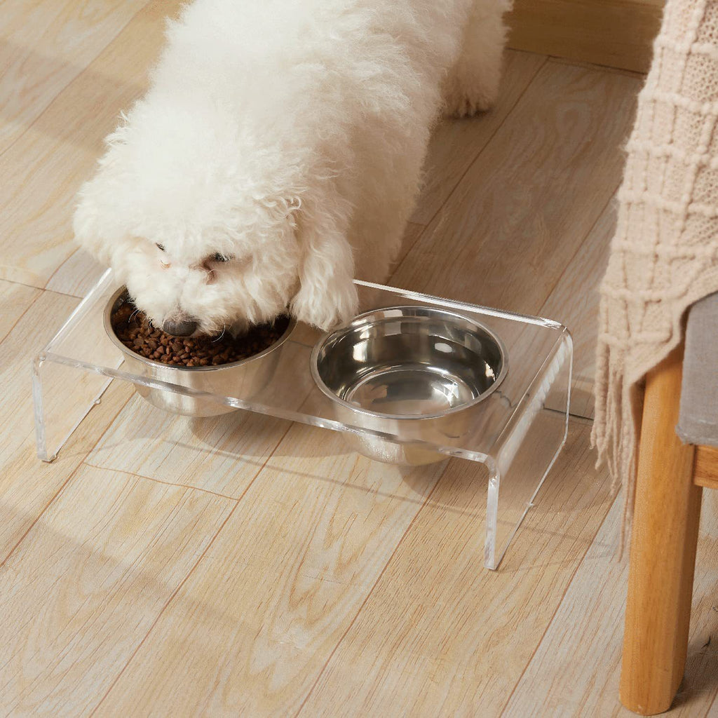 Chien Acrylique et Chats Pet Feeder Petit Chat Chien Feeding Rack