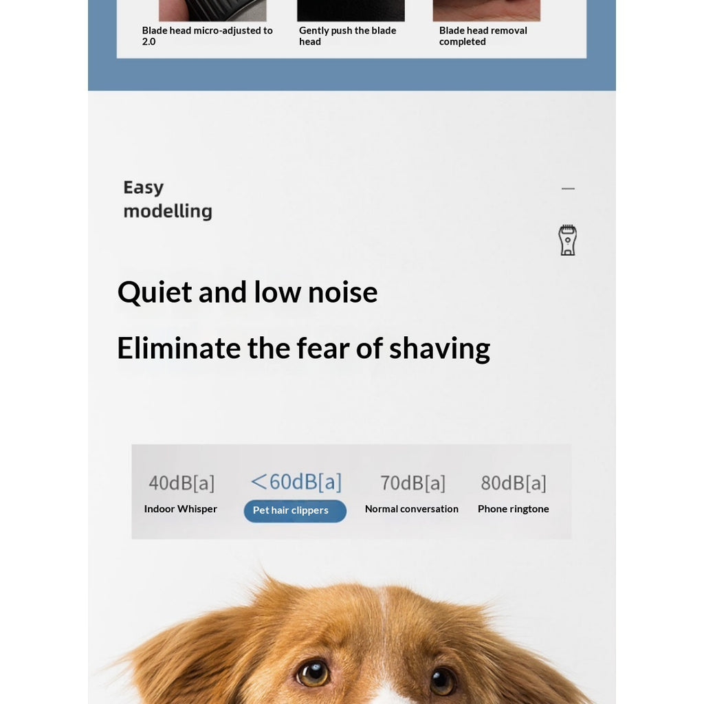 Clipper professionnel de grooming pour chiens.
