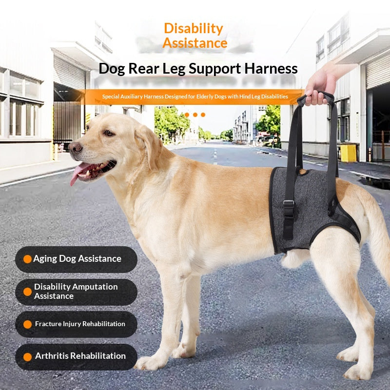 Retractable Harness for Dog Rehabilitation