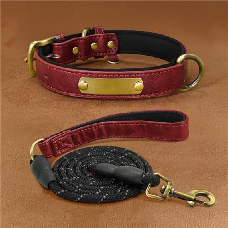 Collier de chien gravé avec des lettres pour prévenir la perte de collier