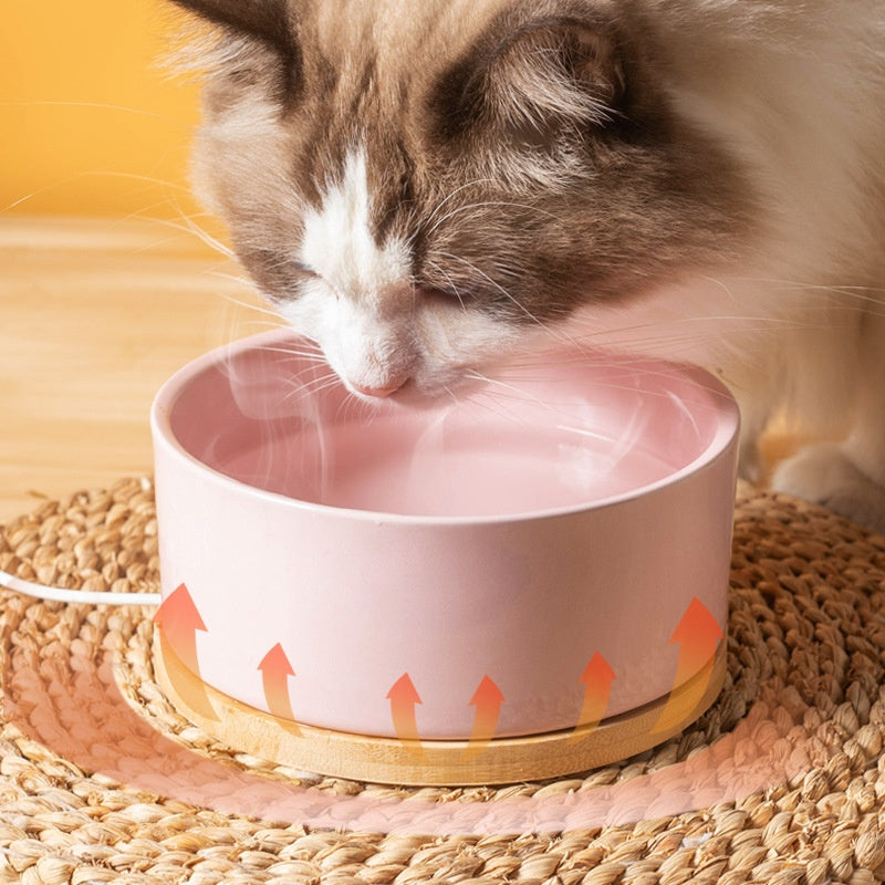 Température constante Chat Céramique Animaux Chauffage Boire Bowl
