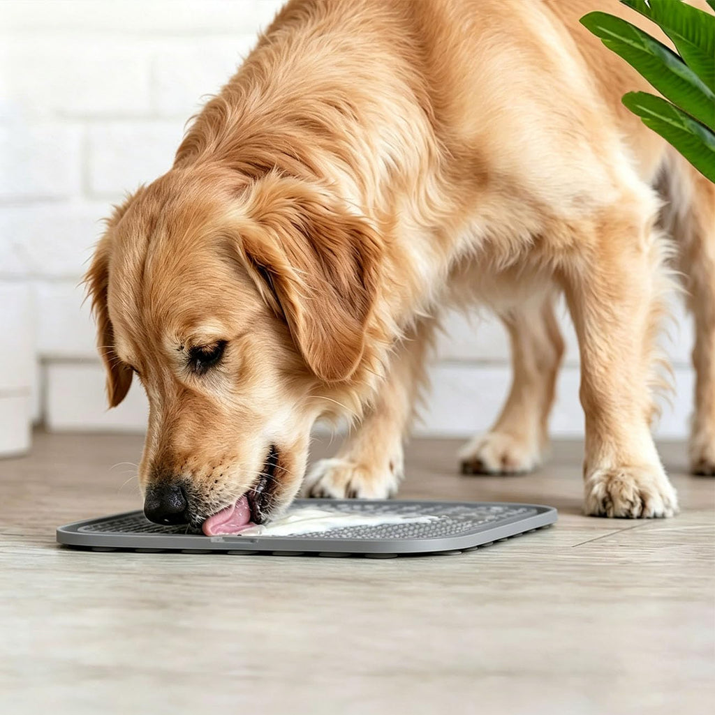 Tapis pour chiens et chats avec coupes d'aspiration