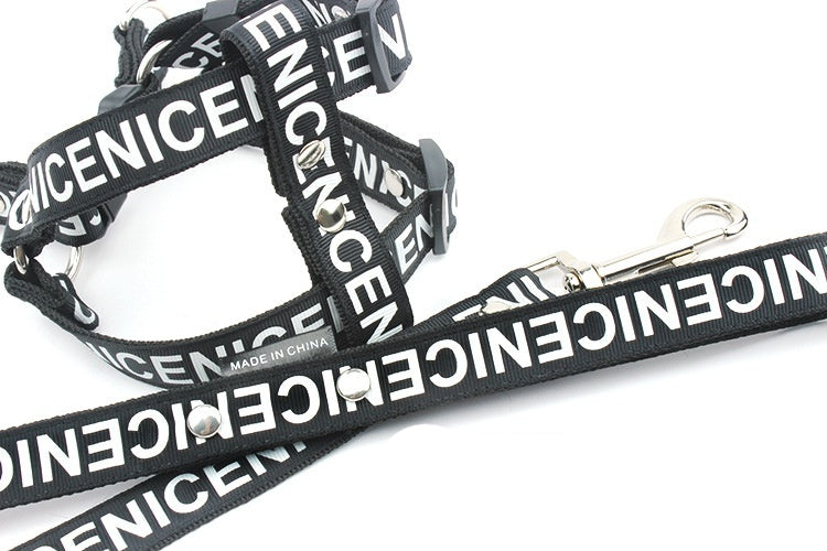 Collier de chien de traction en polyester PET occasionnel
