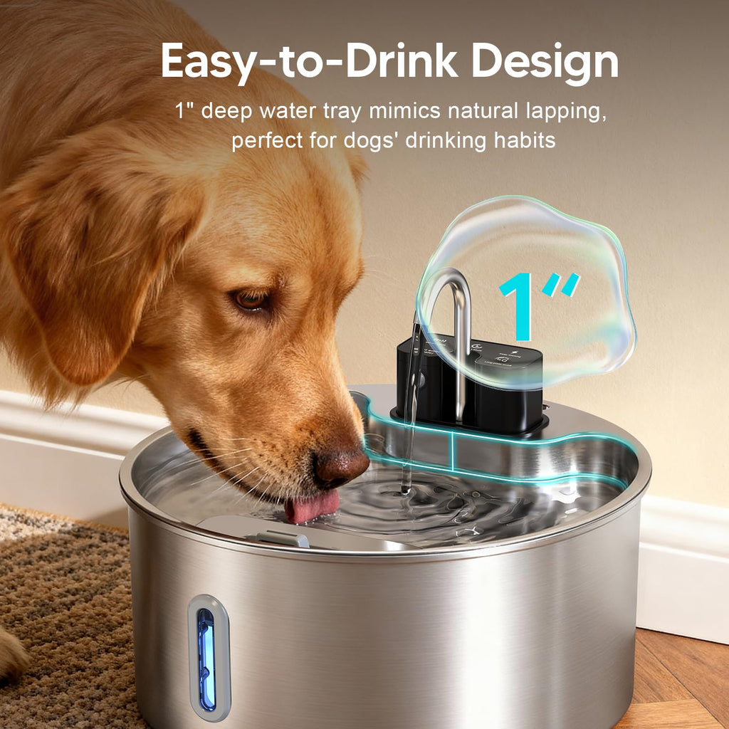 7L Distributeur d'eau pour chiens