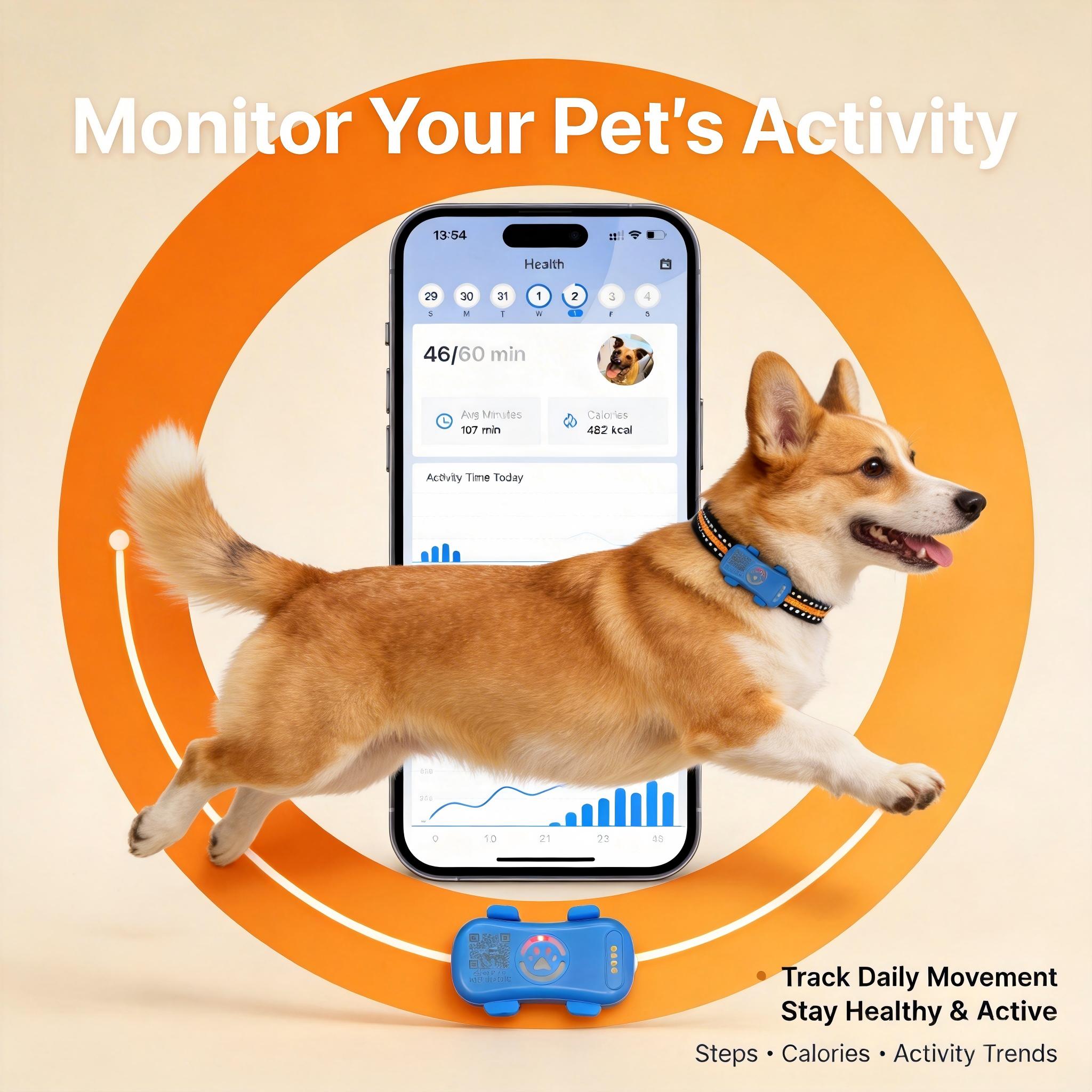 Dog GPS Tracker en temps réel