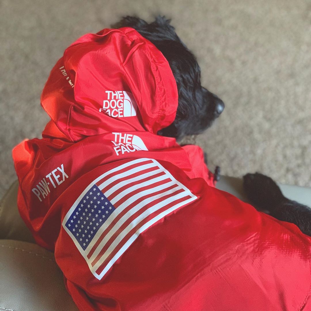 Pare-brise et imperméable grand chien imperméable