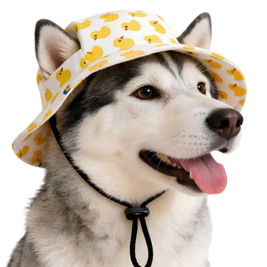 Chapeau de seau de chien avec trous d'oreille Ajustement Été Plage Visière Cap à écran solaire adapté pour le chien