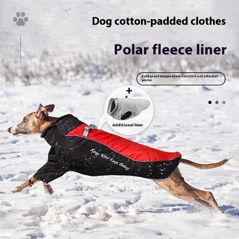 Vêtements chauds pour chiens polaires
