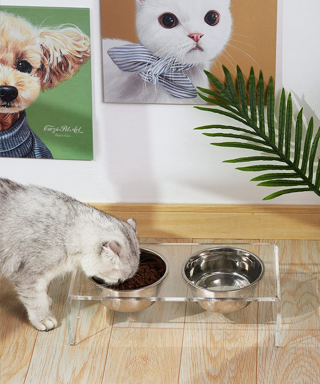 Chien Acrylique et Chats Pet Feeder Petit Chat Chien Feeding Rack