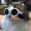 Pet Dog Cat Lunettes de soleil multicolores Cool Handsome Accessoires