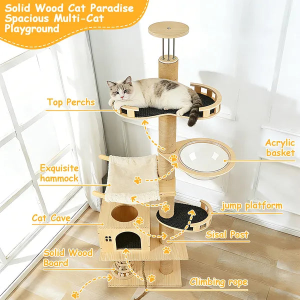 Plancher au plafond Arbre de chat