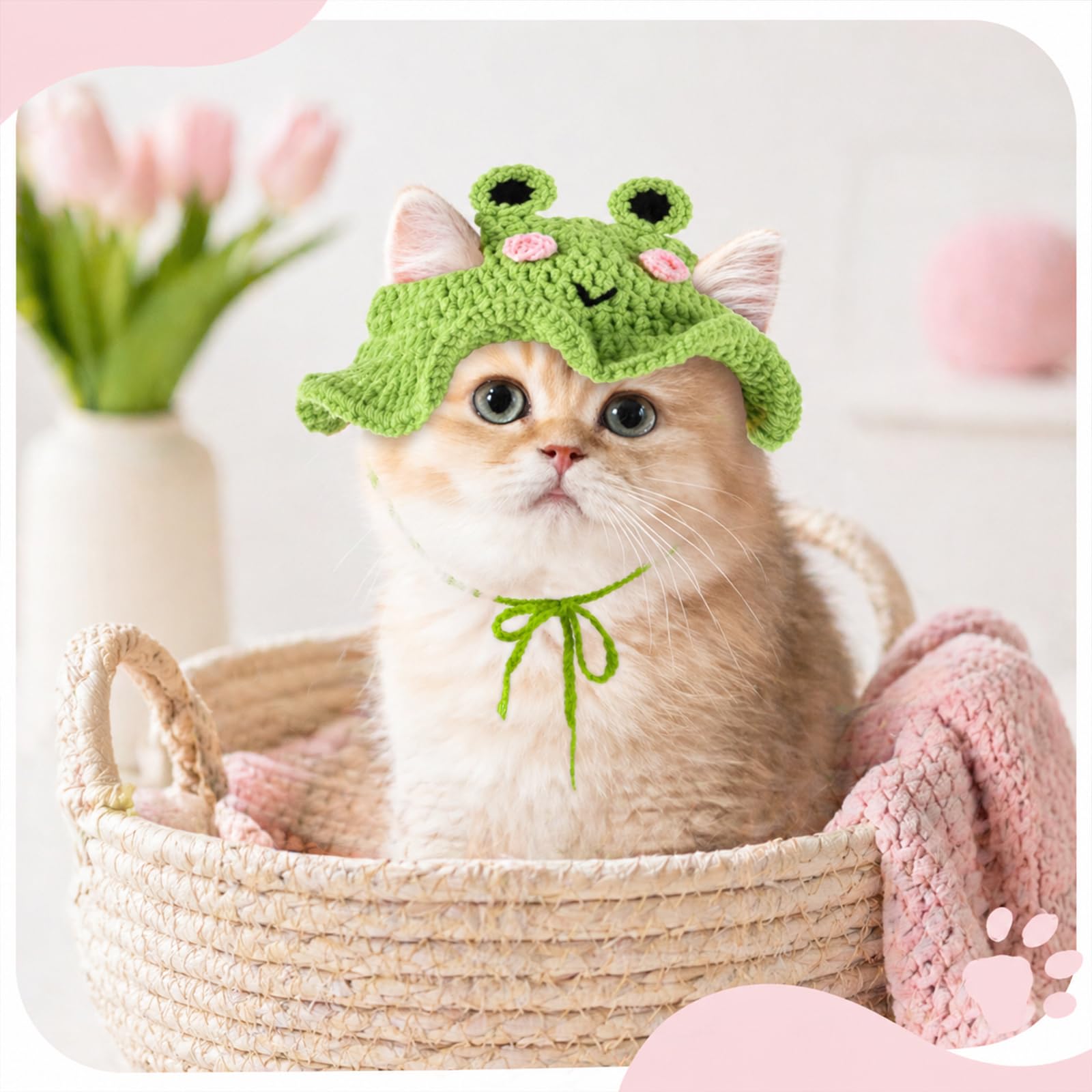 2Pcs Crochet chapeaux de chat tricoté chapeau de chat fraise et grenouille chapeau mignon tricoté chat