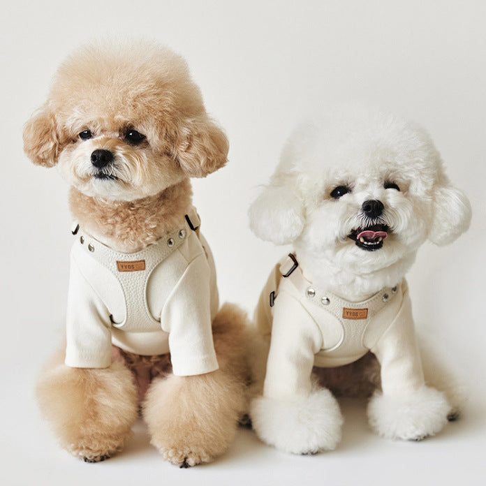 Pet Dog Leash TeddyBichon Harnais extérieur de poitrine et laisse