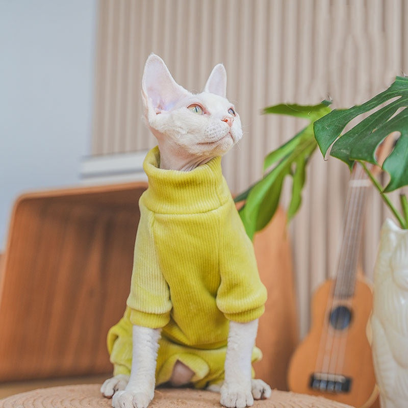 Les vêtements de chat et de chat de Devon sont épais pour l'automne Et l'hiver