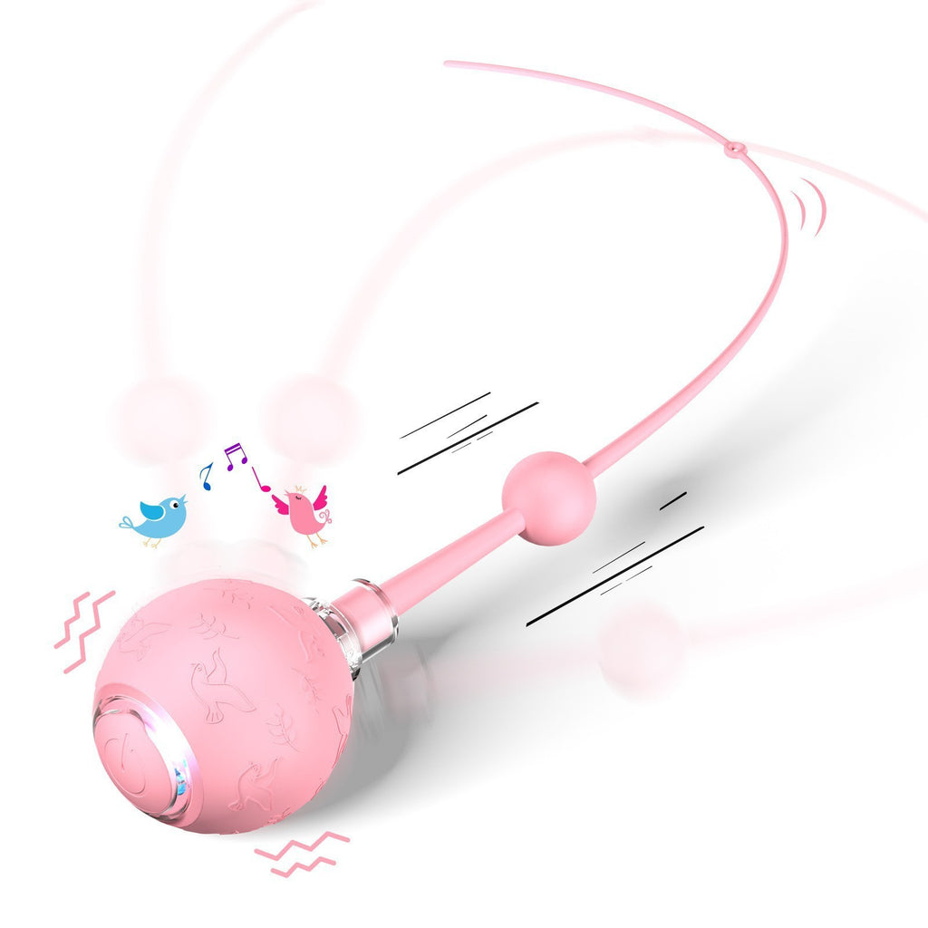 Balle de jouets pour animaux intelligents avec une corde pour chats