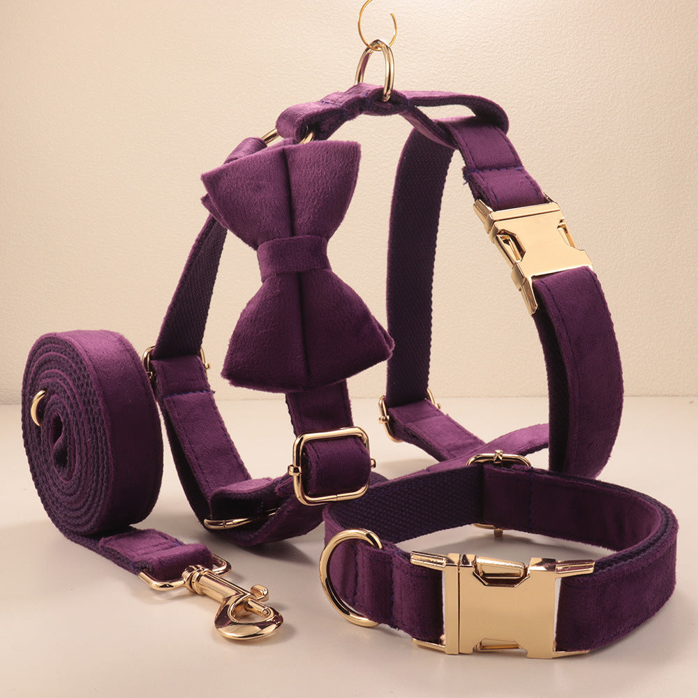 Collier de chien de velours et jeu de tir