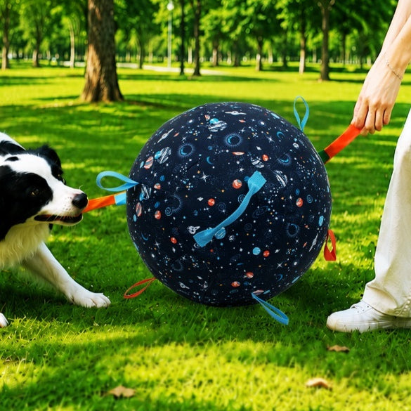 Jouet d'entraînement à la balle gonflable