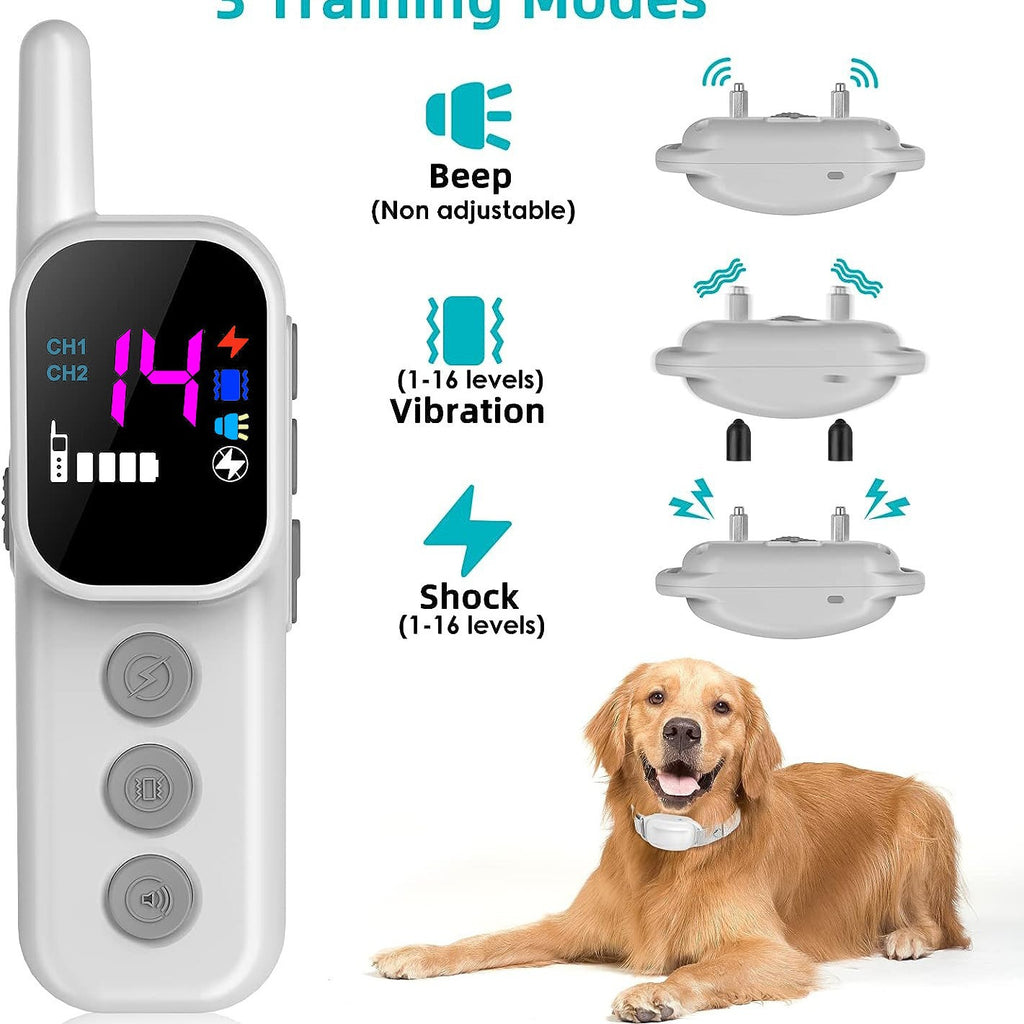 Remote Dog Training Device