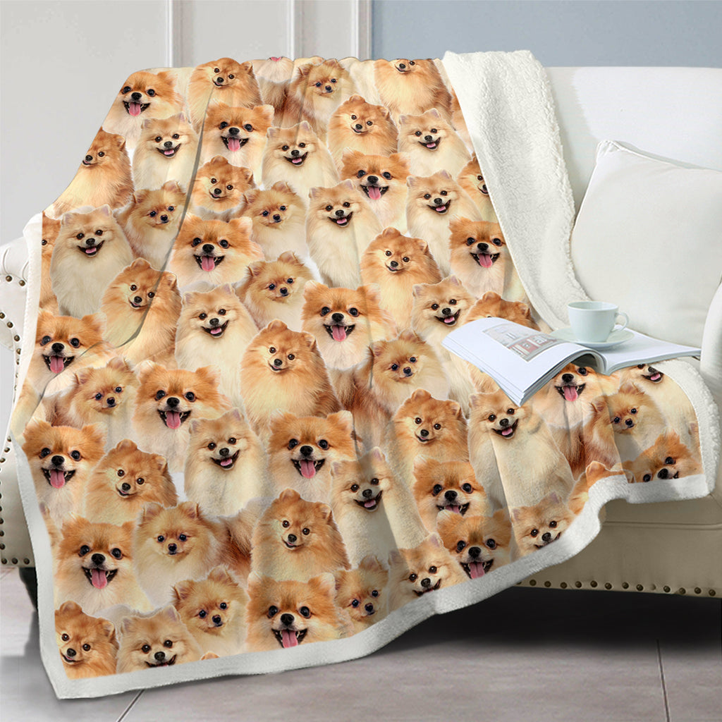 Pattern Poméranie Flèche Blanket filles Brown Sherpa Blanket mignon chien animal léger W