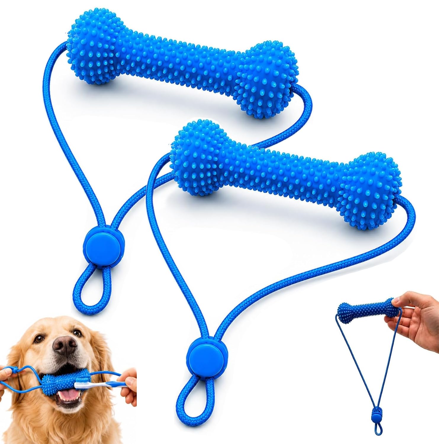 Prop dentaire canine à double action