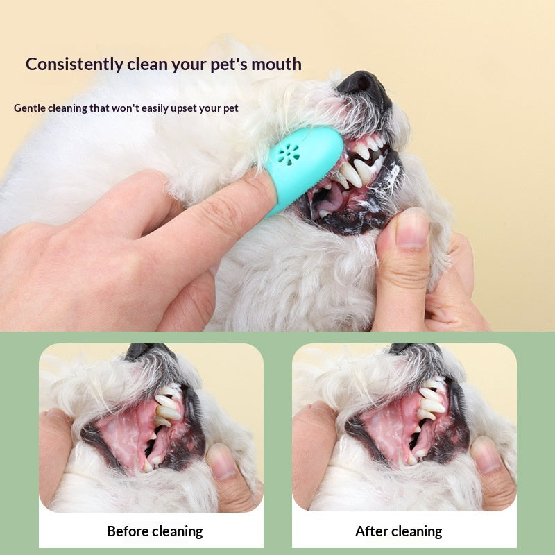 Ensemble de brosse à dents et de dentifrice pour animaux de compagnie