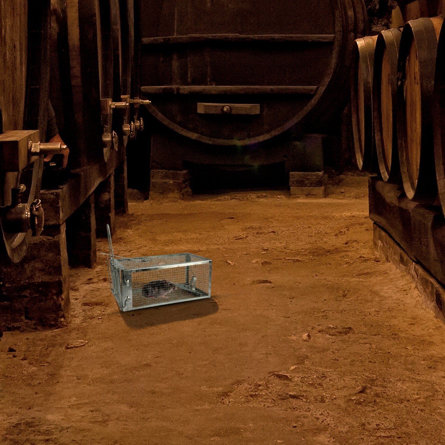 Trap humain d'animaux vivants