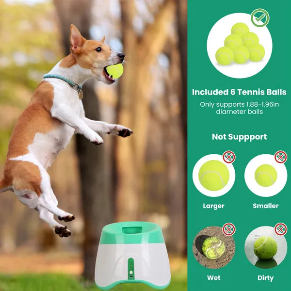 Launcheuse automatique de balle de chien inclus 6 balle de tennis chien avec 3 distance de lancement réglable
