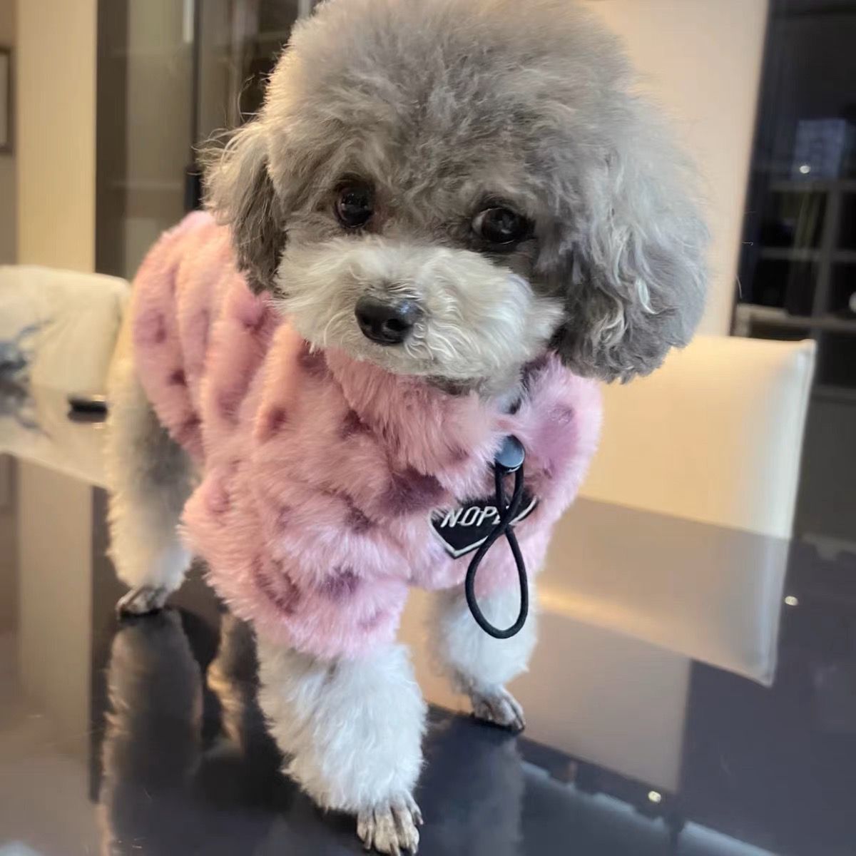 Vêtements pour chiots Thermique Extra Épaisseur avec Chandail Fleece