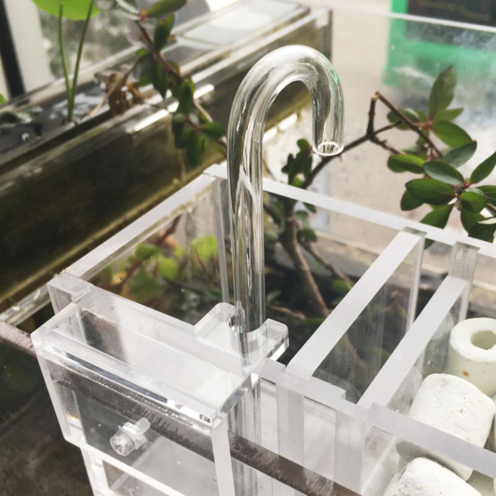 Mettre le filtre humide sur le filtre pour séparer le réservoir de poisson