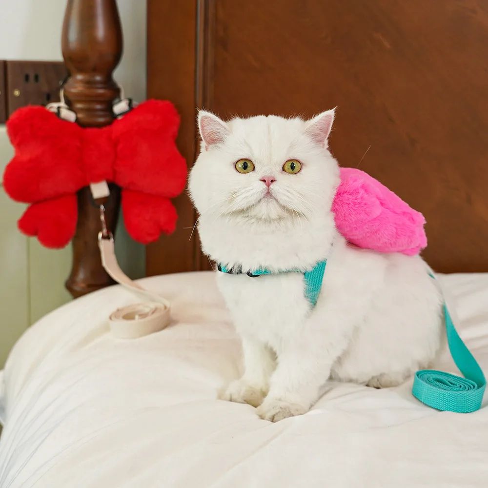Pet Bow Cost Strrap Traction Rope de marche chien corde et chat sortir mignon Bow Self Bac